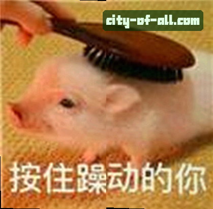 小美