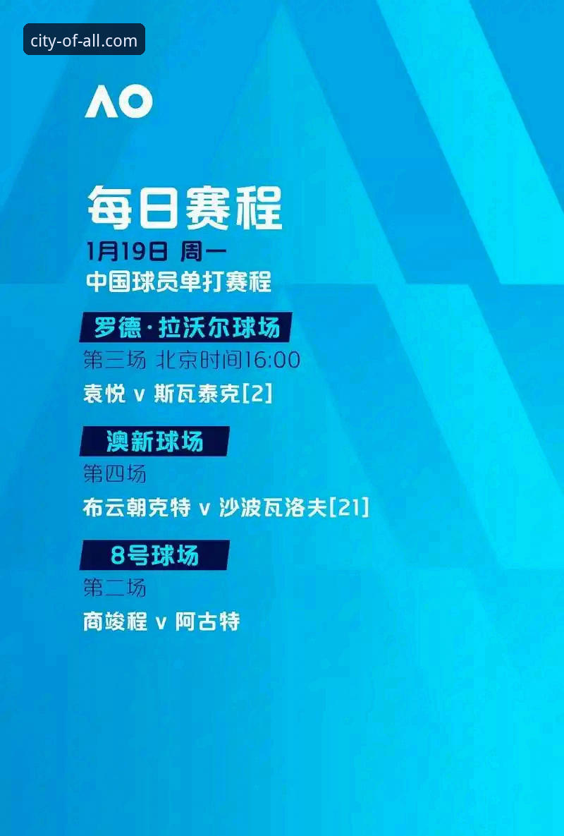 ALLWINCITY 官网登录使用指南 vs 新手常见误区：哪个更适合你？